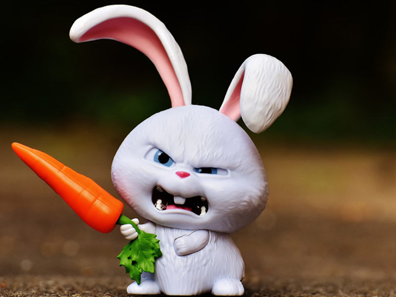 Why You Should Not Go To Attractive